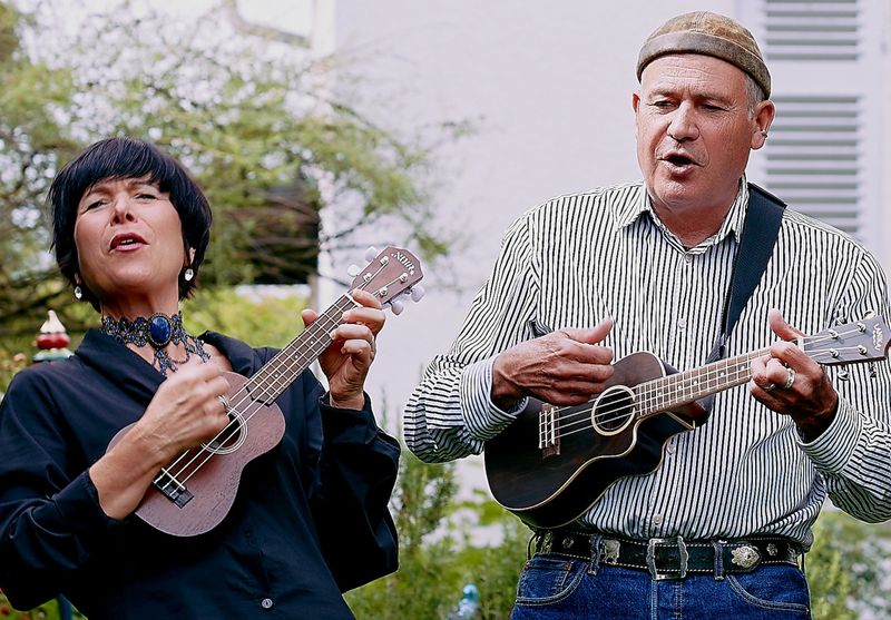 Auf der Wiese ist was los!